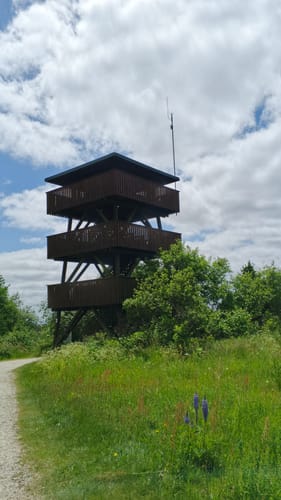 Gipfelrauschen (Traumschleife)