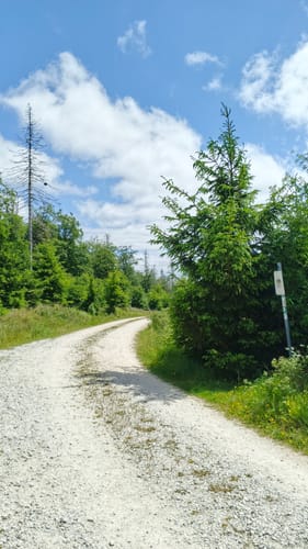 Gipfelrauschen (Traumschleife)