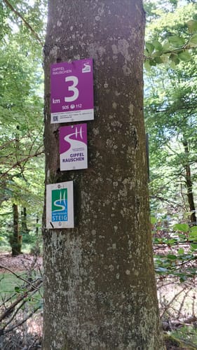 Gipfelrauschen (Traumschleife)