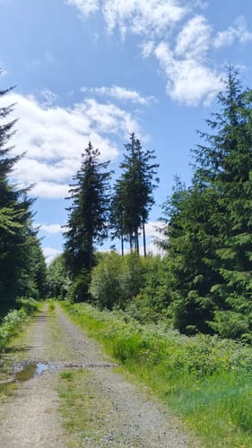Gipfelrauschen (Traumschleife)