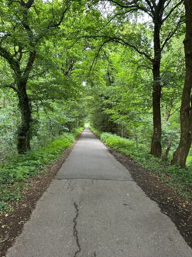 Bissingheim Rundweg A2