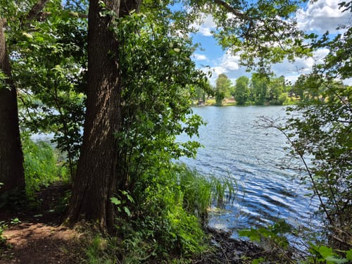 Grünheide Radtour: Werlsee, Peetzsee, Möllensee