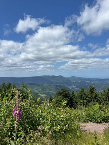 Wiesensteig (Premiumwanderweg)