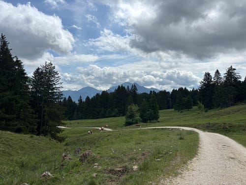 Friedenrath ab Strehtrumpf