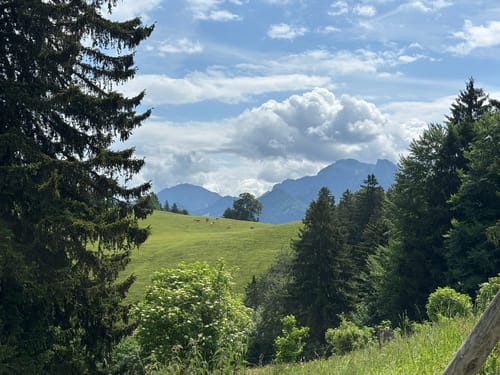 Friedenrath ab Strehtrumpf