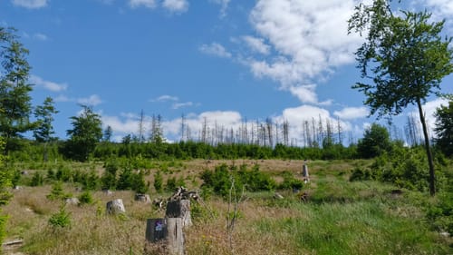 Gipfelrauschen (Traumschleife)