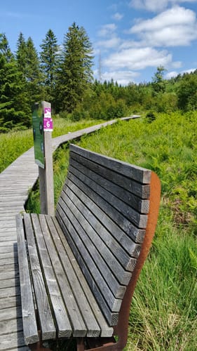 Gipfelrauschen (Traumschleife)