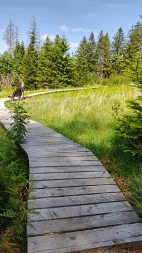Gipfelrauschen (Traumschleife)
