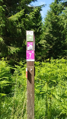 Gipfelrauschen (Traumschleife)