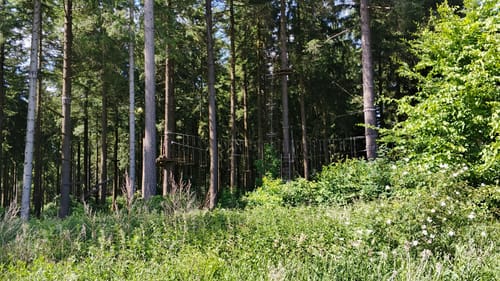 Gipfelrauschen (Traumschleife)