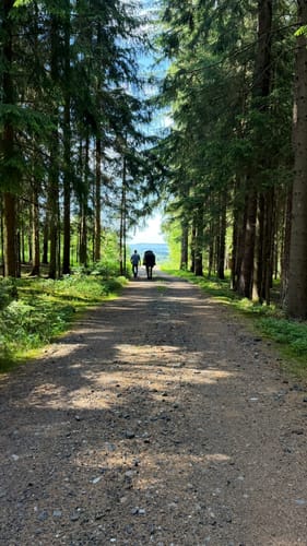 Burgenweg Oberpfalz Etappe 1: Marktredwitz - Friedenfels