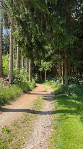 Burgenweg Oberpfalz Etappe 1: Marktredwitz - Friedenfels