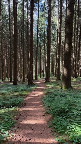 Burgenweg Oberpfalz Etappe 1: Marktredwitz - Friedenfels