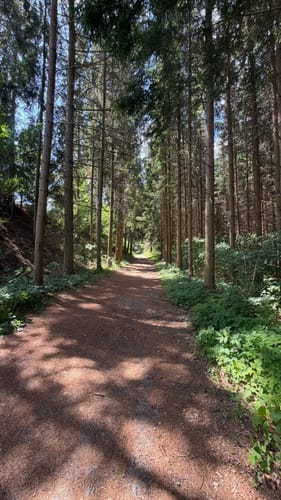 Burgenweg Oberpfalz Etappe 1: Marktredwitz - Friedenfels