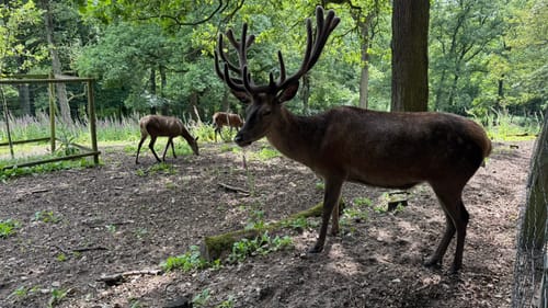 Hülser Bruch: Pottbäckerwanderweg