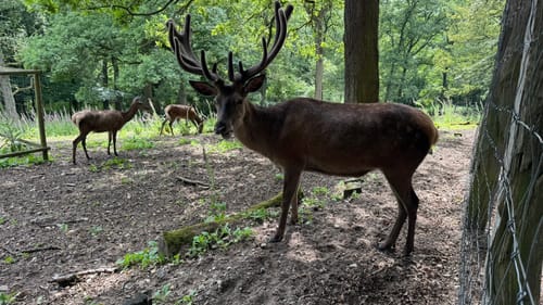 Hülser Bruch: Pottbäckerwanderweg