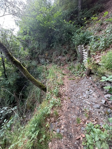 Um die Teufelskanzel