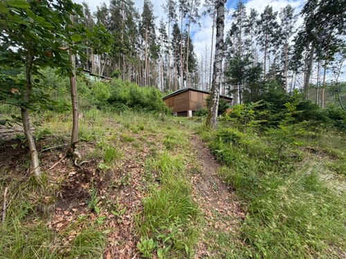 Um die Teufelskanzel