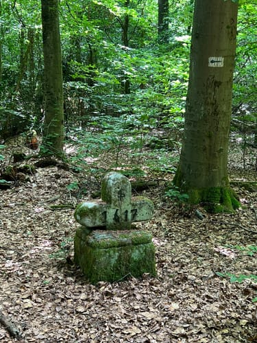 Rundwanderweg Waldläufer ab Handthal