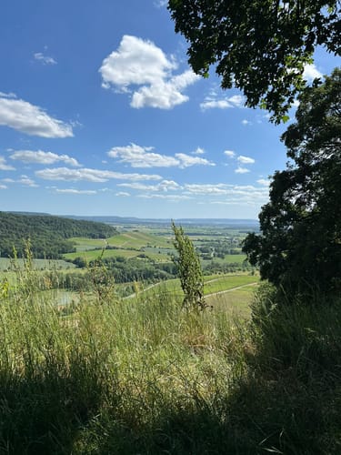 Rundwanderweg Waldläufer ab Handthal