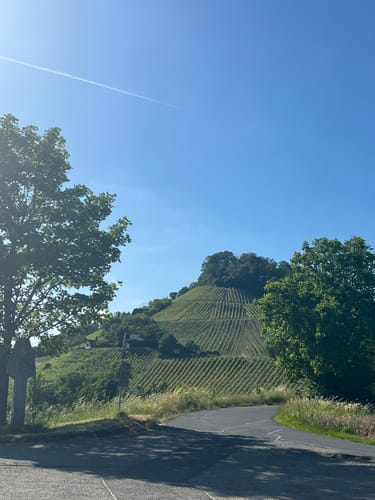 Rundwanderweg Waldläufer ab Handthal