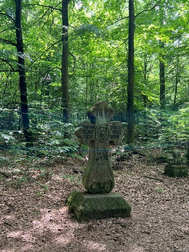 Rundwanderweg Waldläufer ab Handthal