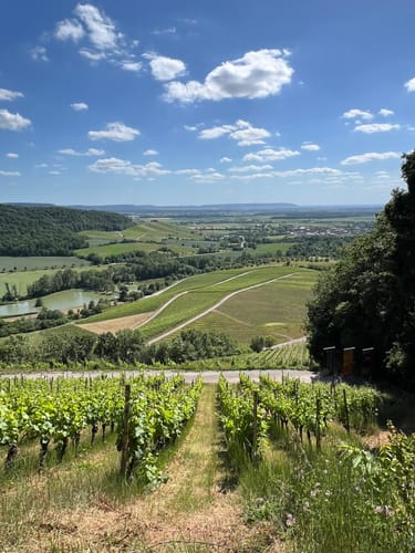 Rundwanderweg Waldläufer ab Handthal