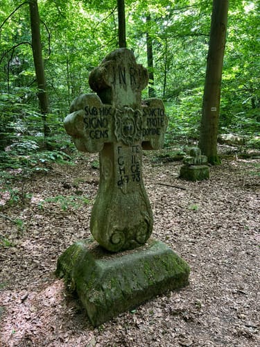 Rundwanderweg Waldläufer ab Handthal