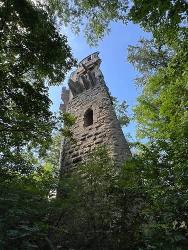 Rundwanderweg Waldläufer ab Handthal