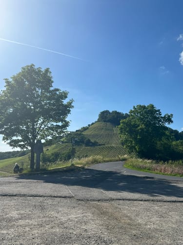 Rundwanderweg Waldläufer ab Handthal