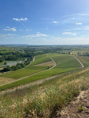 Rundwanderweg Waldläufer ab Handthal