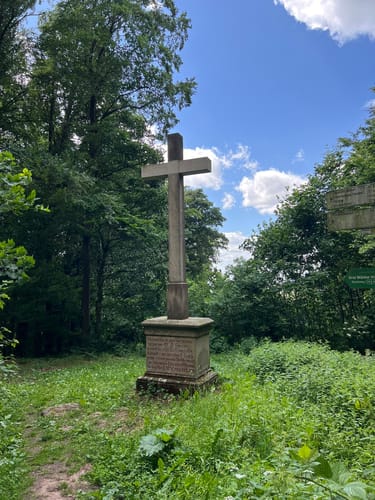 Rundwanderweg Waldläufer ab Handthal
