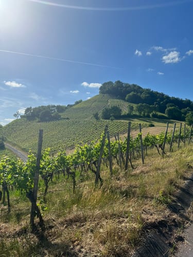Rundwanderweg Waldläufer ab Handthal