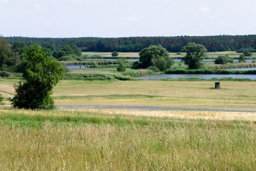 Vogelfreistätte Weihergebiet bei Mohrhof