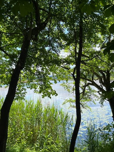 Maisinger See Rundweg