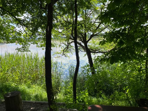 Maisinger See Rundweg