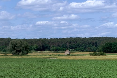 Vogelfreistätte Weihergebiet bei Mohrhof