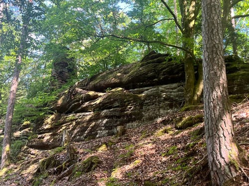 Dahner Felsenpfad (Premiumwanderweg)