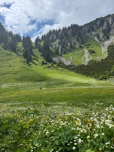 Jägerkamp und Benzingspitz Rundweg