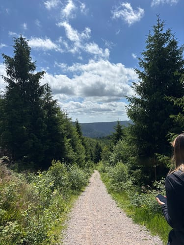 Wiesensteig (Premiumwanderweg)