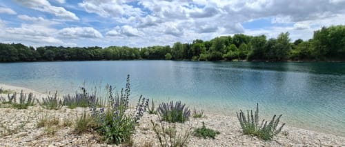 Garchinger See und Mallertshofer See