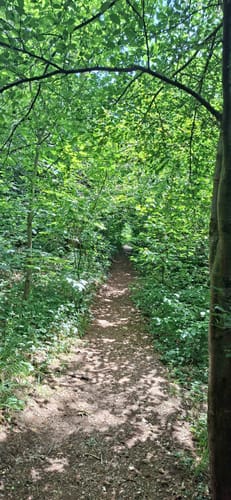 Garchinger See und Mallertshofer See