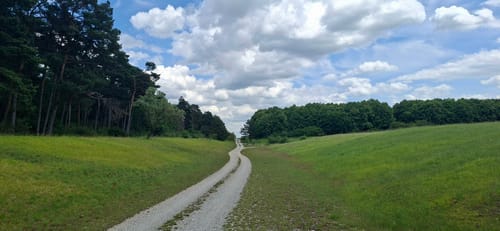 Garchinger See und Mallertshofer See
