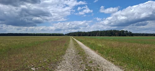 Garchinger See und Mallertshofer See