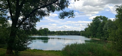 Garchinger See und Mallertshofer See