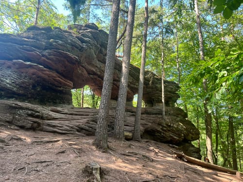 Dahner Felsenpfad (Premiumwanderweg)