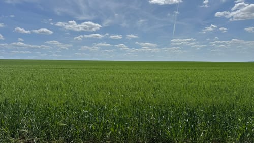 Erfurter Steigerwald