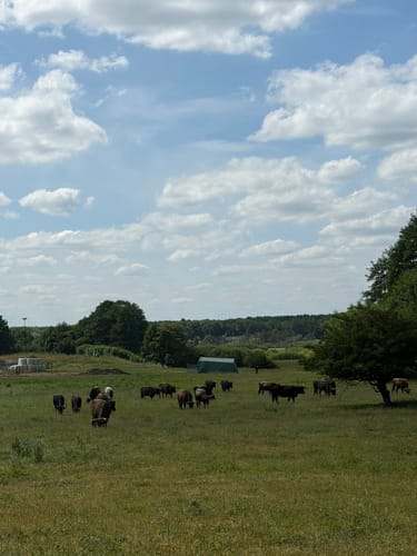 Orchideenrundweg