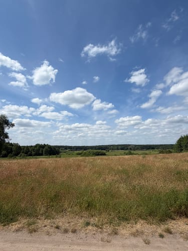 Orchideenrundweg