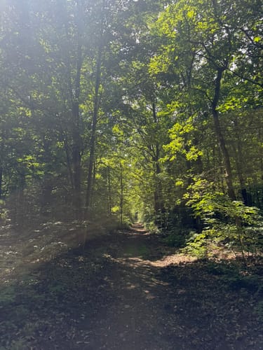 Orchideenrundweg